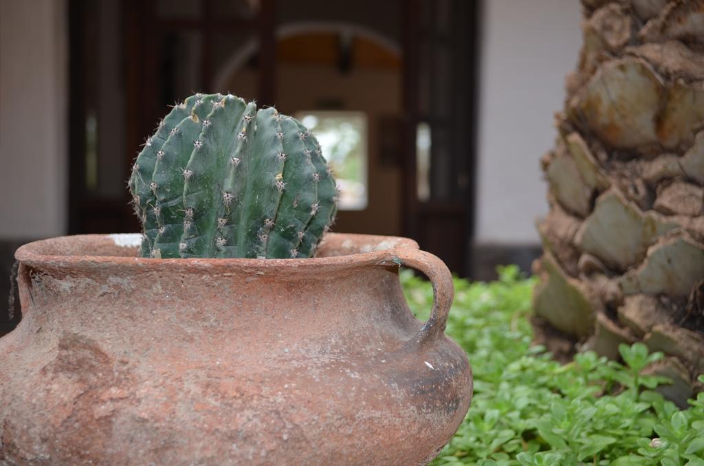Finca El Carmen Angastaco Esterno foto